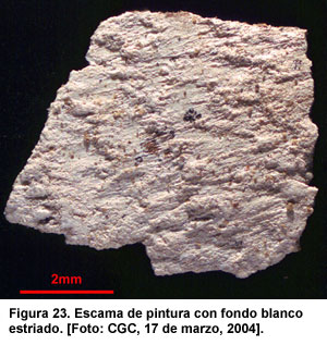 Figura 23. Escama de pintura con fondo blanco estriado. [Foto: CGC, 17 de marzo, 2004].