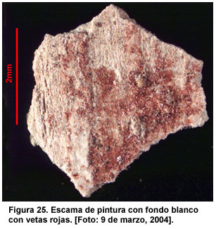 Figura 25. Escama de pintura con fondo blanco con vetas rojas. [Foto: 9 de marzo, 2004].