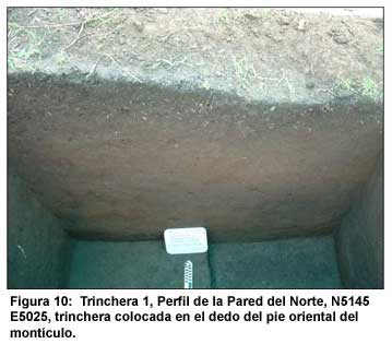 Figura 10: Trinchera 1, Perfil de la Pared del Norte, N5145 E5025, trinchera colocada en el dedo del pie oriental del mont&iacute;culo.