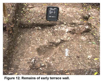 Figure 12. Remains of early terrace wall.