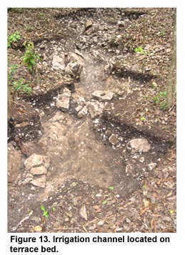 Figure 13. Irrigation channel located on terrace bed.