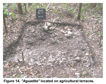 Figure 14. "Aguadita" located on agricultural terraces.