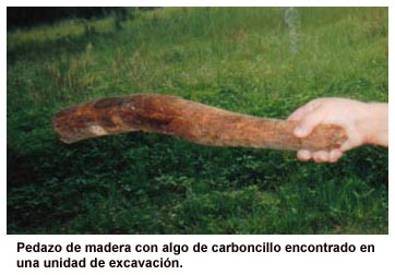 Pedazo de madera con algo de carboncillo encontrado en una unidad de excavaci&oacute;n.