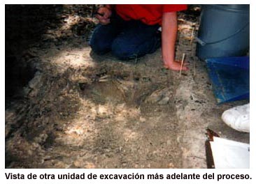 Vista de otra unidad de excavaci&oacute;n m&aacute;s adelante del proceso.