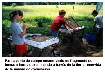 Participante de campo encontrando un fragmento de hueso mientras examinando a trav&eacute;s de la tierra removida de la unidad de excavaci&oacute;n.