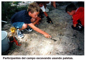 Participantes del campo excavando usando paletas.